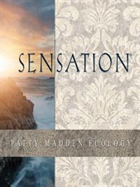 Wallpapers by Sensation Book