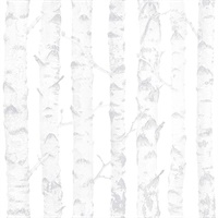 Birdie Grey Birch Wallpaper