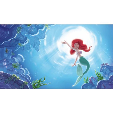 Disney The Little Mermaid Part Of Your World