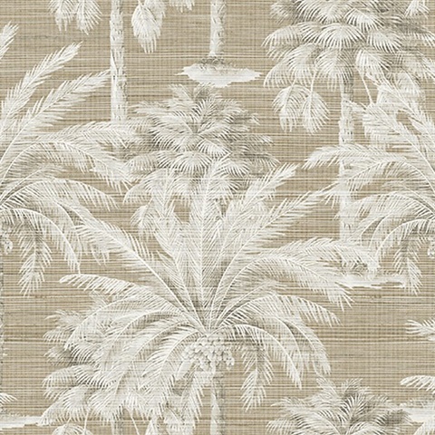 Dream Of Palm Trees Brown Texture Wallpaper