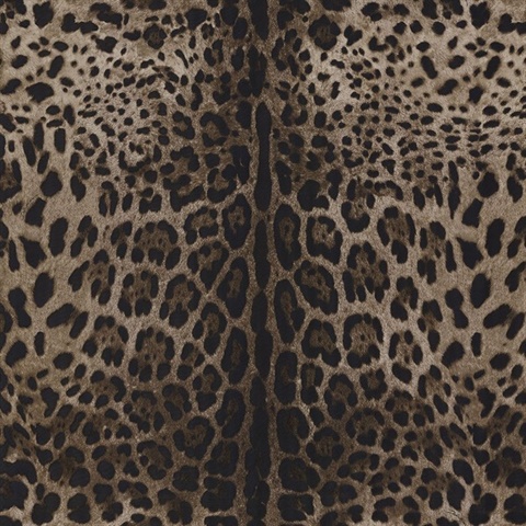 Leopardo Dolce
