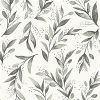 Olive Branch Wallpaper