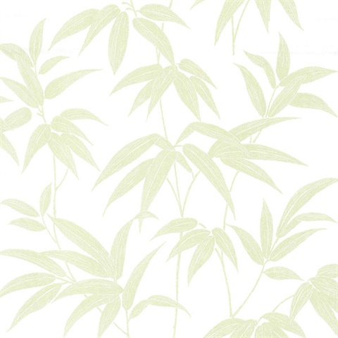 Green Bamboo wallpaper by jasem2 - Download on ZEDGE™