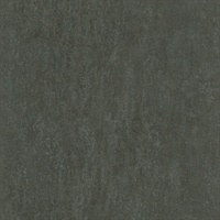 Segwick Black Speckled Texture Wallpaper