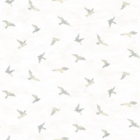 Soar Grey Bird Wallpaper