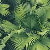 Summer Palm Dark Green Tropical Wallpaper
