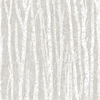 Toyon Taupe Birch Tree Wallpaper