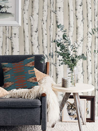 3118-12601, Pioneer Birch Tree