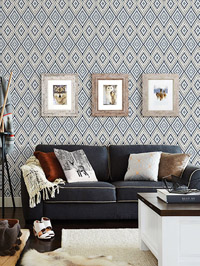 3118-12713, Ganado Geometric Ikat