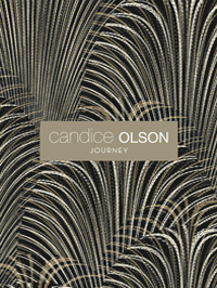 Candice Olson Journey