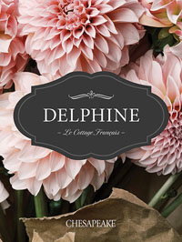 Wallpapers by Delphine by Brewster Book