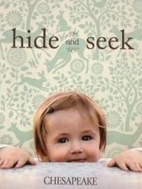 Wallpapers by Hide and Seek Book