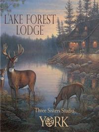 Wallpapers by Lake Forest Lodge Book