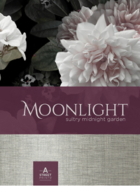 Moonlight By A Street Prints