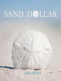 Wallpapers by Sand Dollar Book