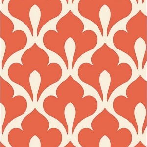 Orange Wallpaper