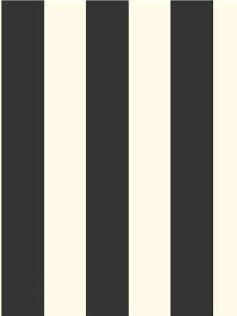 3" Wide Stripe