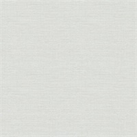 Agave Bliss Light Blue Faux Grasscloth