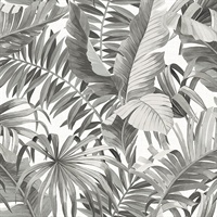 Alfresco Black Palm Leaf Wallpaper
