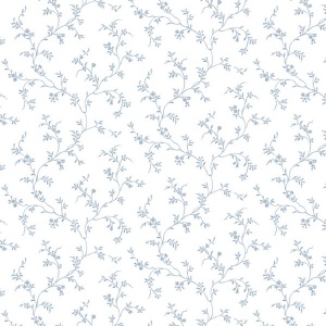 Allison's Trail Wallpaper