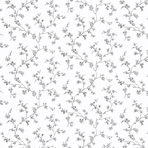 Allison's Trail Wallpaper