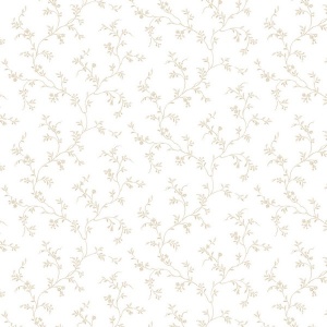 Allison's Trail Wallpaper