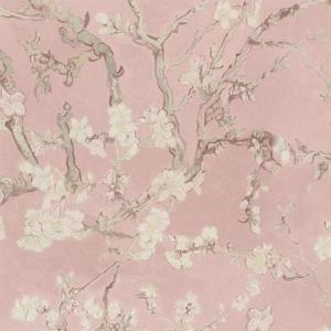 Almond Blossom Wallpaper