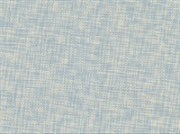 Arlyn Light Blue Grasscloth