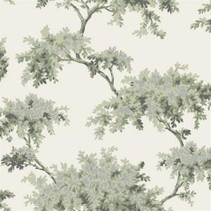 Ashdown Sage Tree Wallpaper