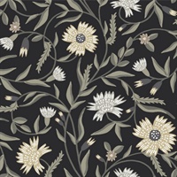 Aster Black Wallpaper