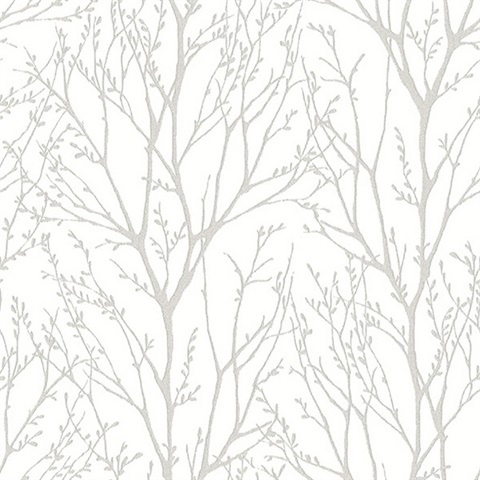 Autumn Silver Tree Wallpaper