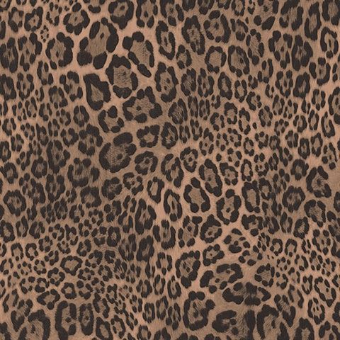 Balck and Brown Leopard Skin Wallpaper