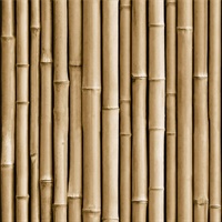 Bamboo P & S Wallpaper