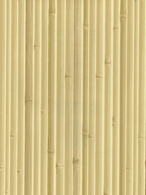 Bamboo Sidewall