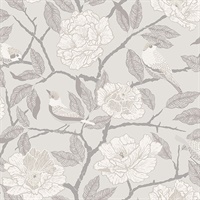 Bernadina Grey Rosebush Wallpaper