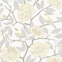 Bernadina Light Yellow Rosebush Wallpaper