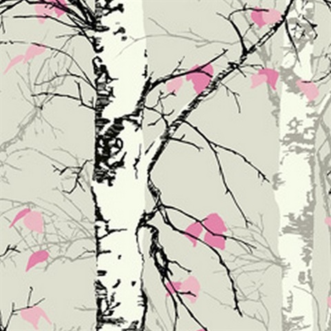 Birch Trees with Leaves