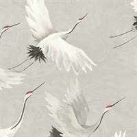 Windsong Grey Bird Wallpaper