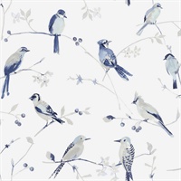 Birdsong Blue Trail Wallpaper