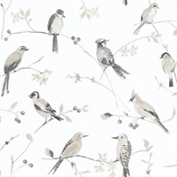 Birdsong Grey Trail Wallpaper