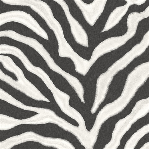 Black and White Zebra Print Wallpaper