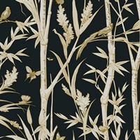 Black Bambou Toile Wallpaper