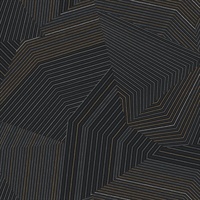 Black Dotted Maze Wallpaper