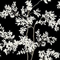 Black & White Lunaria Silhouette Wallpaper