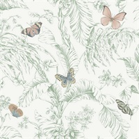 Blush Papillon Wallpaper