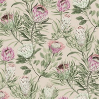 Blush Protea Wallpaper