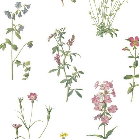 Botanical Print P & S Wallpaper
