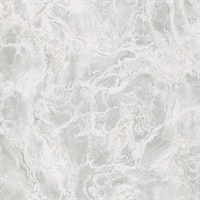 Botticino Silver Marble Wallpaper