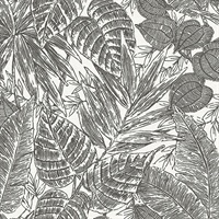 Brentwood Black Palm Leaves Wallpaper by Scott Living