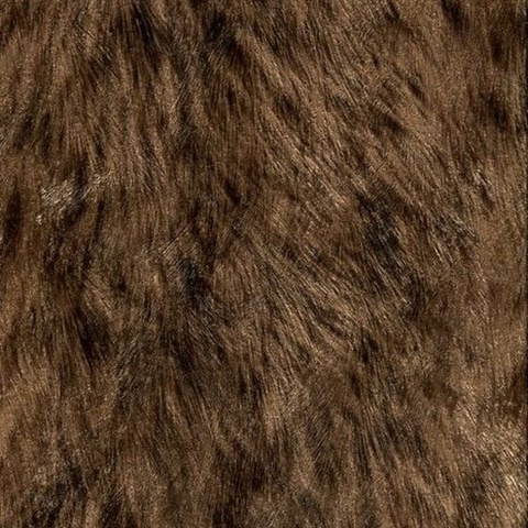 Trieste Brown Wolf Wallpaper